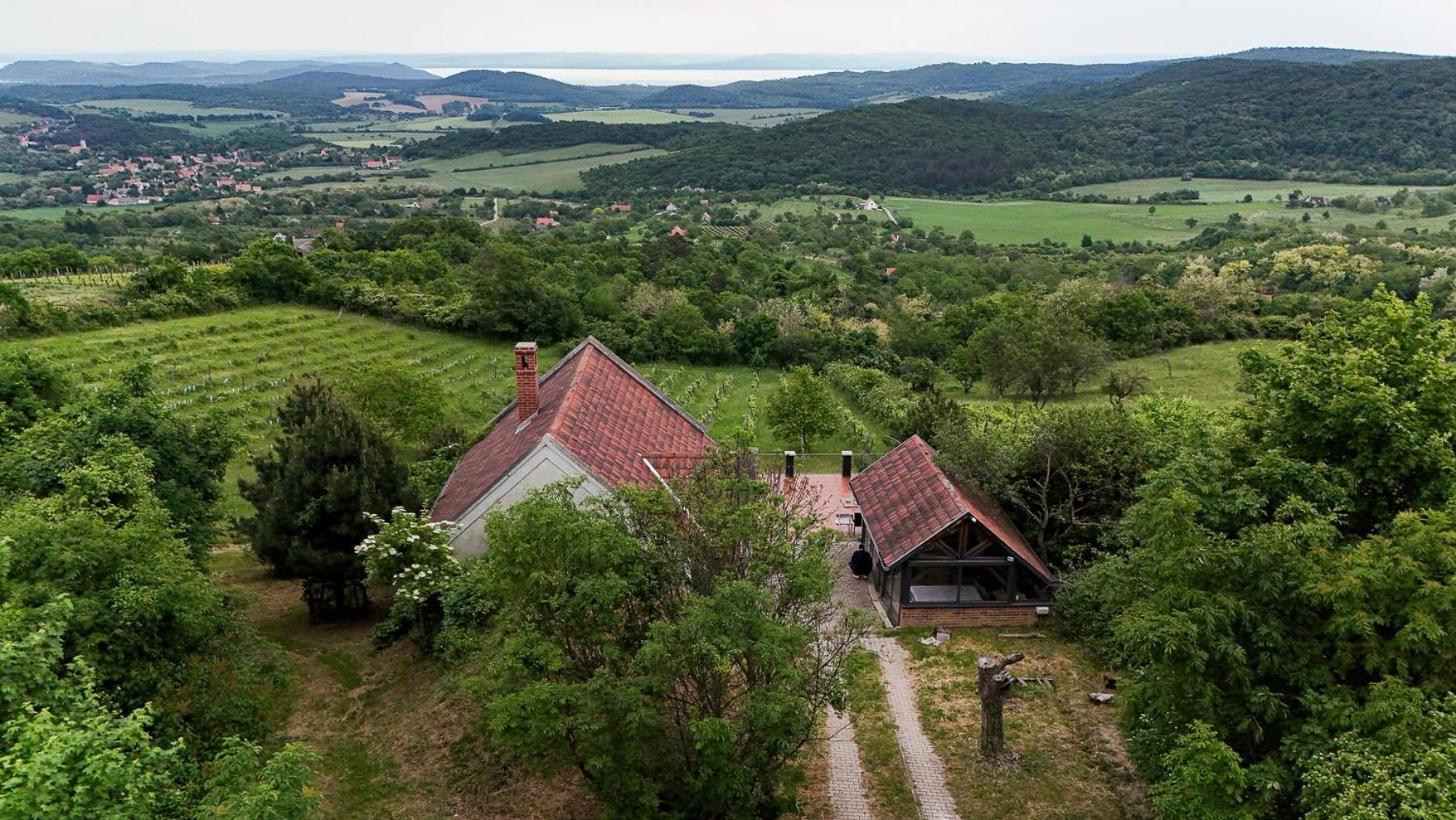 Willa Borospince Vendeghaz Pécsely Zewnętrze zdjęcie